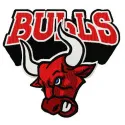 Bulls embroidery design featuring intricate stitched motifs, ideal for adding charm to t-shirts and tote bags.