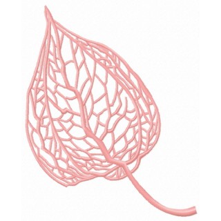 Physalis 3 embroidery design - Embroidery Design