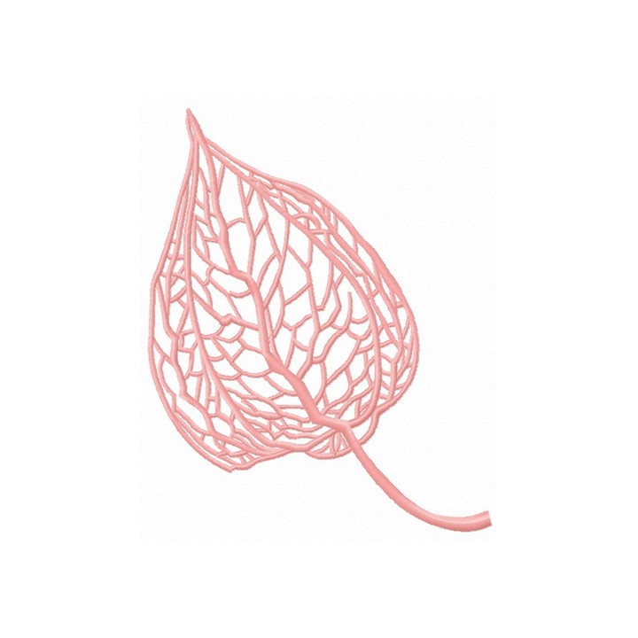 Physalis 3 embroidery design - Embroidery Design