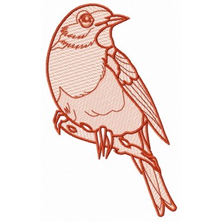 European robin 4 embroidery design - Embroidery Design