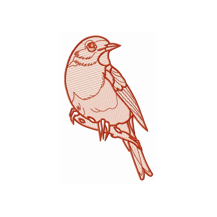 European robin 4 embroidery design - Embroidery Design