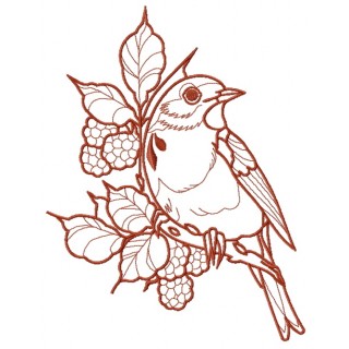 European robin 3 embroidery design - Embroidery Design