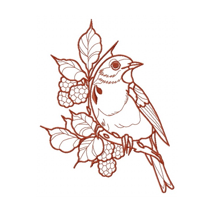 European robin 3 embroidery design - Embroidery Design