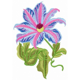 Clematis flower embroidery design - Embroidery Design