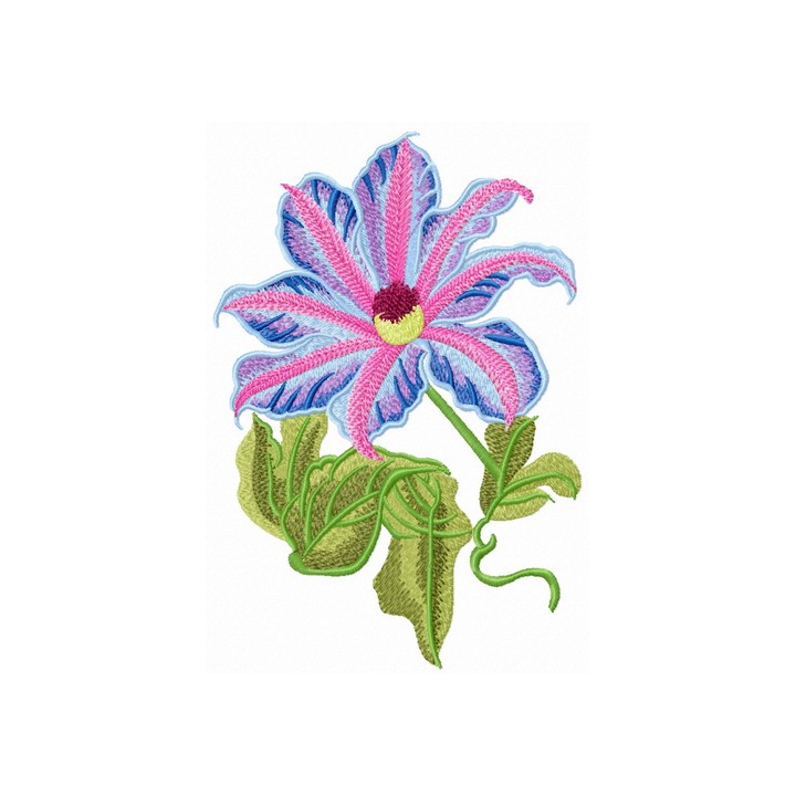 Clematis flower embroidery design - Embroidery Design