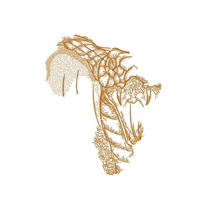 African snake sketch embroidery design - Embroidery Design