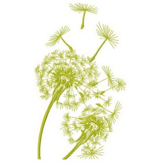Dandelion 2 embroidery design - Embroidery Design