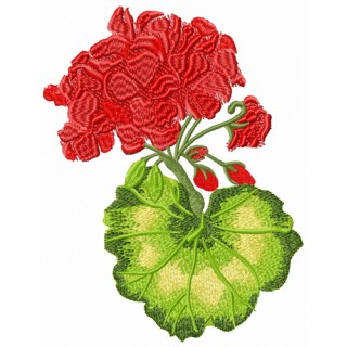 Geranium flower embroidery design - Embroidery Design