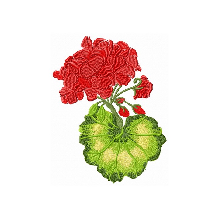 Geranium flower embroidery design - Embroidery Design