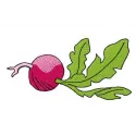 Radish embroidery design showcasing a vibrant red radish motif, ideal for adding charm to kitchen textiles and apparel.