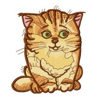 Confused cat embroidery design - Embroidery Design