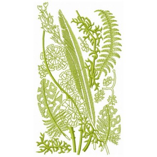 Various herbs embroidery design - Embroidery Design