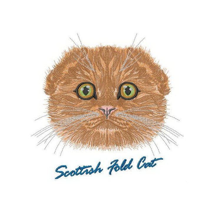 Scottish fold cat embroidery design - Embroidery Design