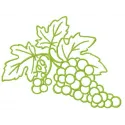 Grapes 2 embroidery design showcasing intricate stitching patterns of grapes, ideal for embellishing fabrics.