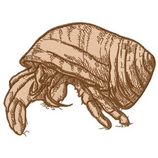 Hermit crab 2  embroidery design - Embroidery Design
