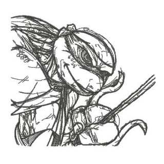 Raphael sketch embroidery design - Embroidery Design