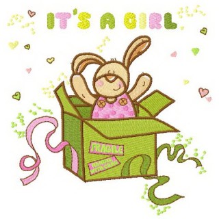 It's a girl surprise embroidery design - Embroidery Design