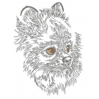 Pomeranian embroidery design - Embroidery Design