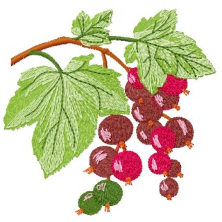 Blackcurrant embroidery design - Embroidery Design