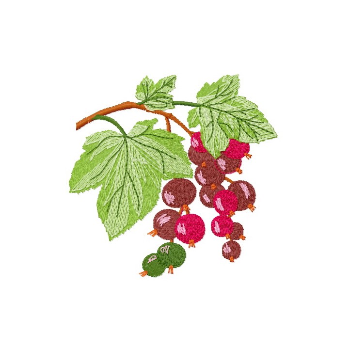 Blackcurrant embroidery design - Embroidery Design