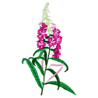 Epilobium embroidery design - Embroidery Design