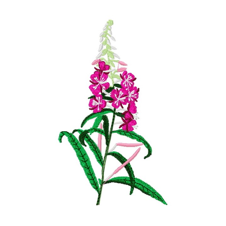 Epilobium embroidery design - Embroidery Design