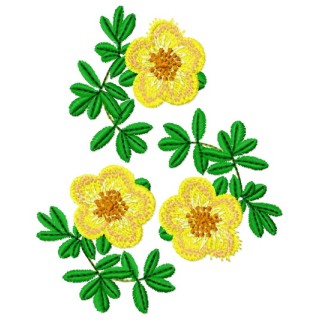 Hypericum embroidery design - Embroidery Design