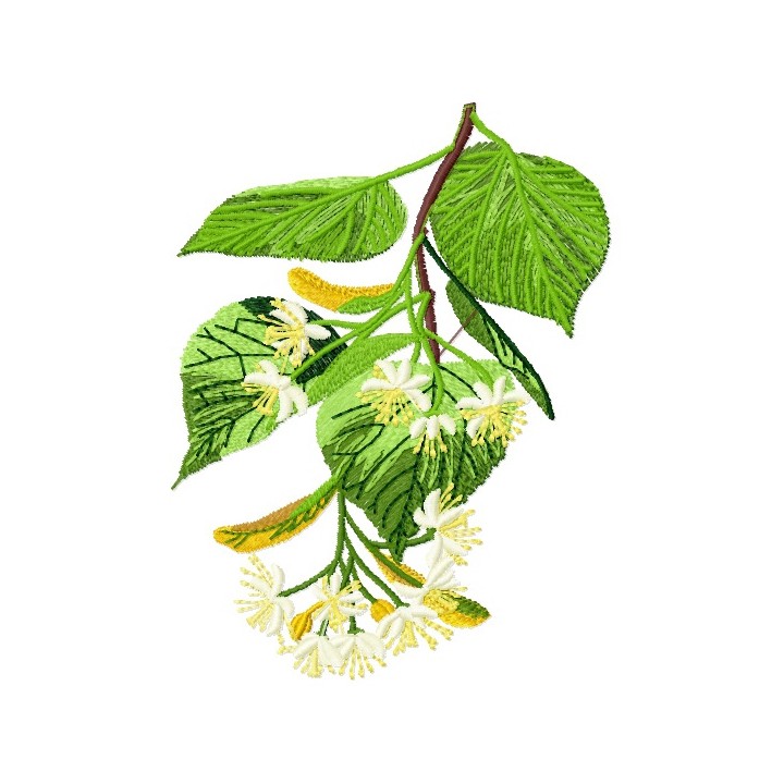 Linden embroidery design - Embroidery Design