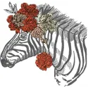 Preview of a Modern Zebra embroidery design, showcasing intricate details and vibrant patterns for stitching on various fabr…