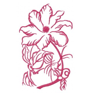 Clematis sketch embroidery design - Embroidery Design