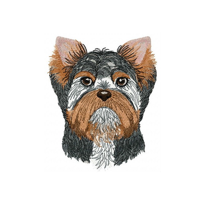 Charles embroidery design - Embroidery Design