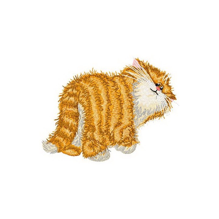 Sad cat embroidery design - Embroidery Design
