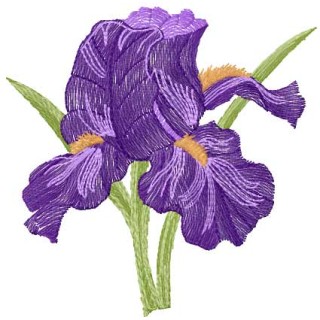 Orchids 10 embroidery design - Embroidery Design