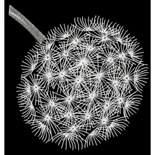 Dandelion embroidery design - Embroidery Design