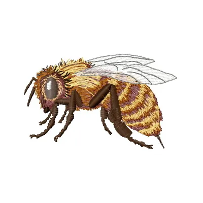 Bee embroidery design showcasing a charming insect motif, perfect for embellishing various fabric items.