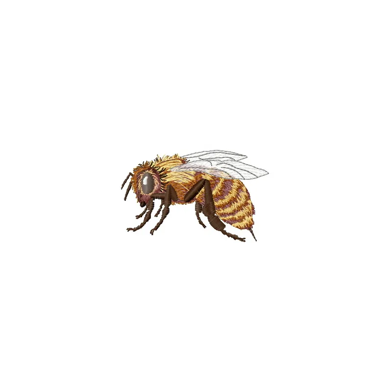 Bee embroidery design showcasing a charming insect motif, perfect for embellishing various fabric items.