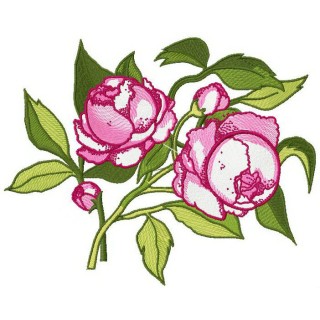Peonies embroidery design - Embroidery Design