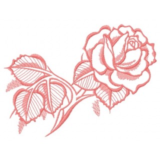 Pink rose with shadow sketch embroidery design - Embroidery Design