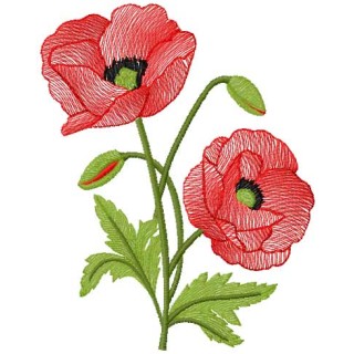 Poppies 13 embroidery design - Embroidery Design