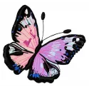 Bicolor butterfly embroidery design showcasing intricate stitching patterns, perfect for embellishing various fabrics.