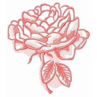 Pink peony sketch embroidery design - Embroidery Design