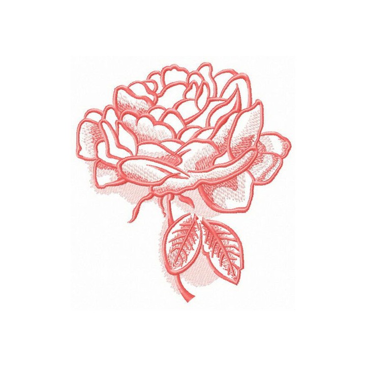 Pink peony sketch embroidery design - Embroidery Design