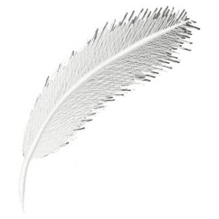 Feather embroidery design - Embroidery Design
