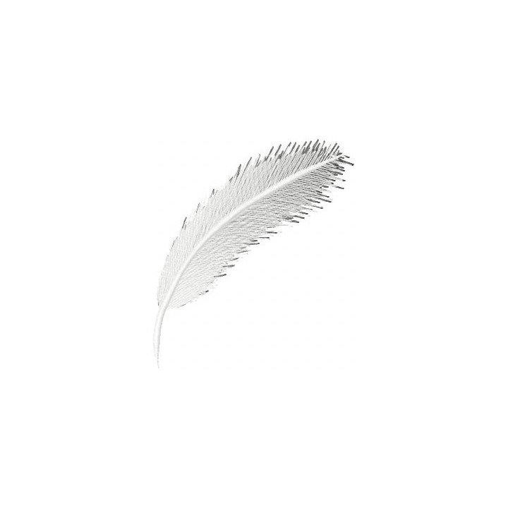 Feather embroidery design - Embroidery Design