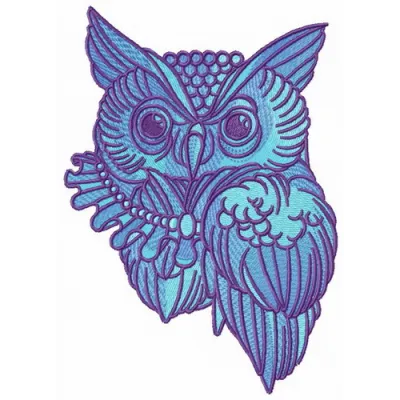 Wizard's owl embroidery design showcasing a whimsical owl with magical elements, perfect for creative stitching projects.