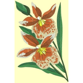 Orchids free embroidery embroidery design - Embroidery Design