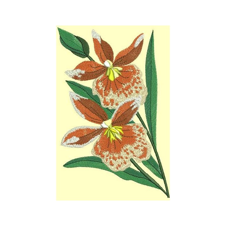 Orchids free embroidery embroidery design - Embroidery Design