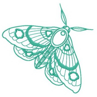 Spoty moth embroidery design - Embroidery Design