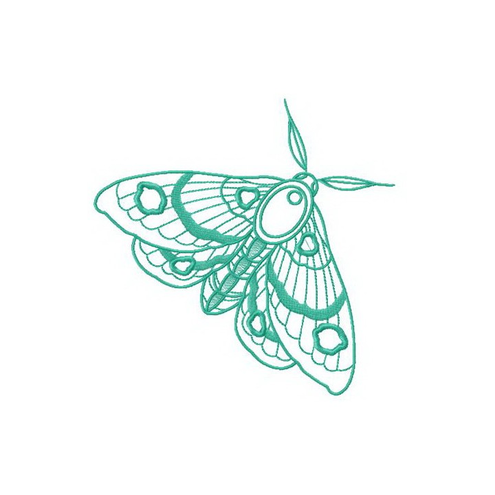 Spoty moth embroidery design - Embroidery Design