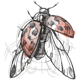 Ladybug sketch embroidery design